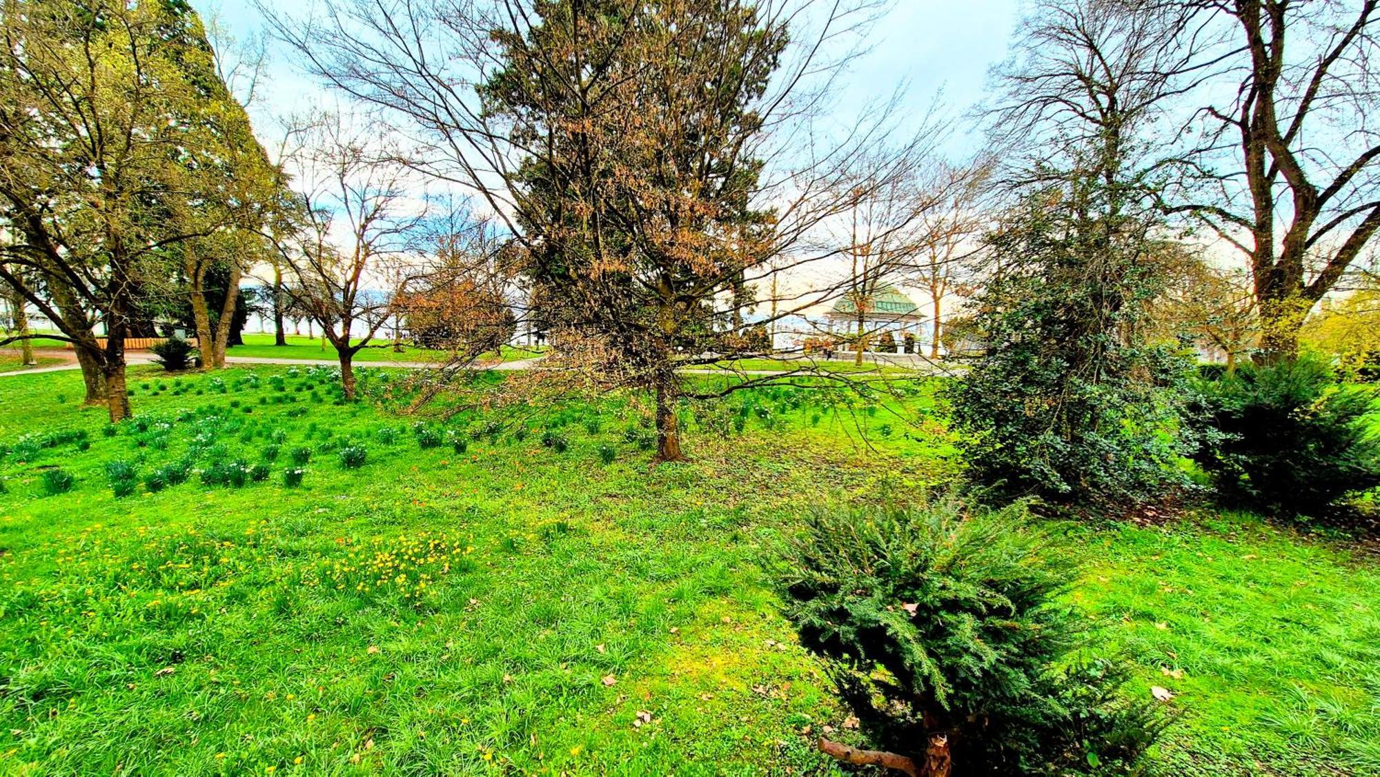 Bodensee City Apartment Friedrichshafen Casa Graf Ngoại thất bức ảnh